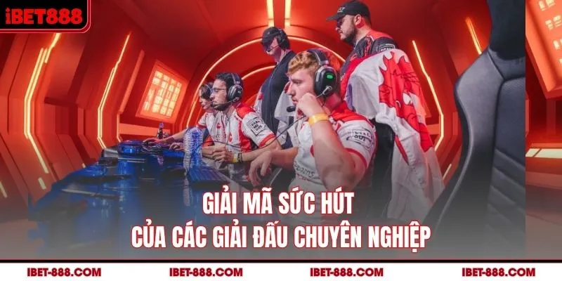 Giải mã sức hút của các giải đấu chuyên nghiệp