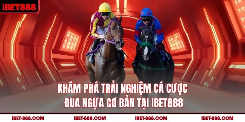 Khám phá trải nghiệm cá cược đua ngựa cơ bản tại IBET888