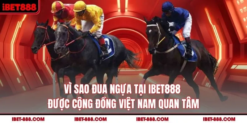 Vì sao đua ngựa tại IBET888 được cộng đồng Việt Nam quan tâm